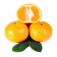 Mandarin sárga illóolaj